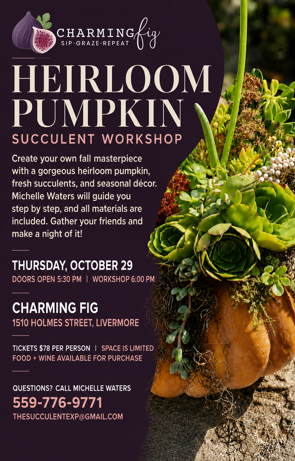 Heirloom Pumpkin Succulent Workshop